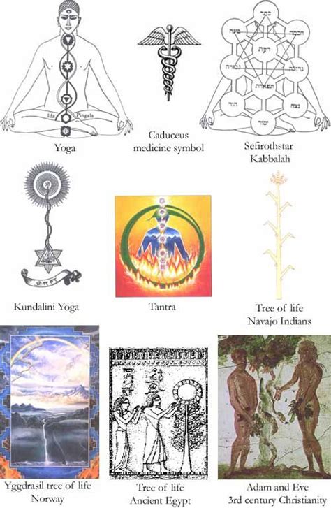 340 Best Images About Kundalini On Pinterest Pineal