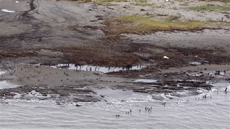 BP Ends Oil Spill Cleanup In Gulf Except For Louisiana WUSF News