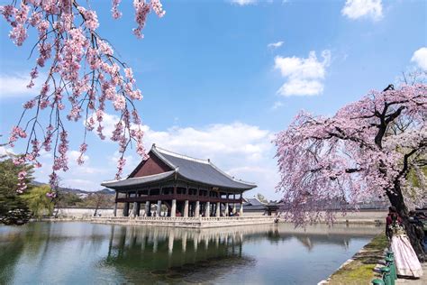 30 Pictures That Will Make You Want to Visit South Korea After Covid