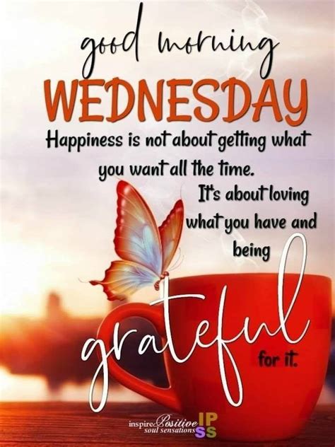 The birds sing each morning as they know they have another day to live. Happiness Is Not About Getting You Want All The Time ...