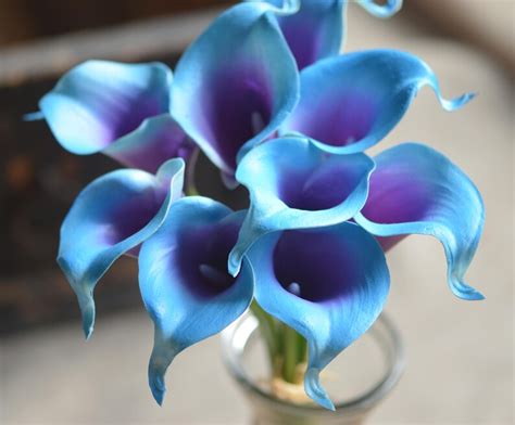 Dark Turquoise Purple Picasso Calla Lilies 9 Stems Real Touch Etsy