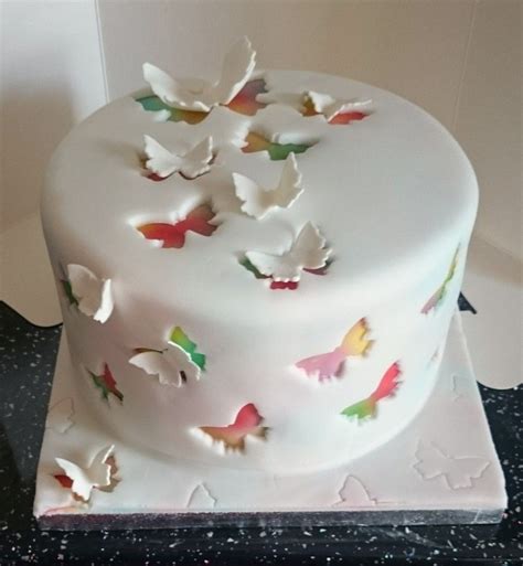 Airbrushed Cake Covered In White Fondant With Butterflies