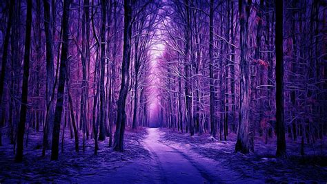 Hd Wallpaper Purple Landscape Purple Forest Forest Path Woods