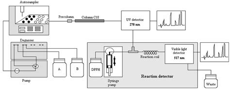 High Performance Liquid Chromatography Hplc System With Reaction