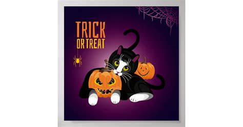cat fun at halloween playing with the pumpkins pos poster zazzle