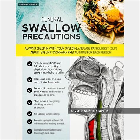 Handout General Swallow Precautions Therapy Insights Dysphagia