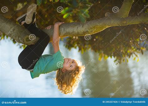 Happy Child Playing In The Garden Climbing On The Tree Upside Down