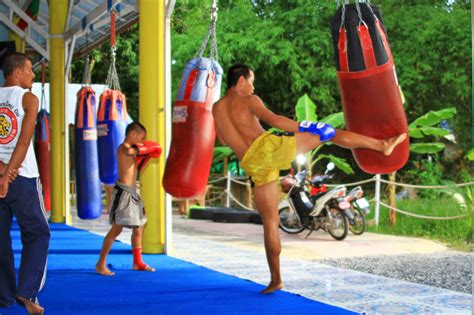use your summer to join a muay thai training gym in phuket thailand