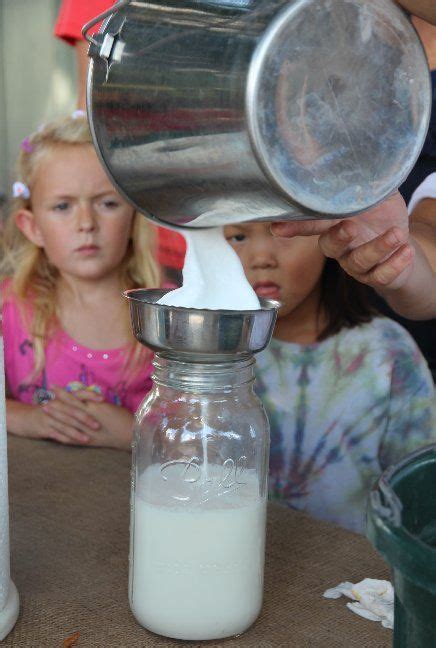 Milking Demo On The Farm Raw Milk Glass Of Milk Florida Sunshine