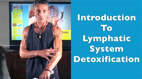 Introduction To Lymphatic System Detoxification Earther Academy