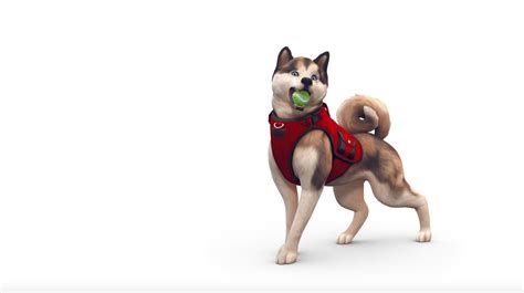 How to age pets up and down in The Sims 4 | Gamepur