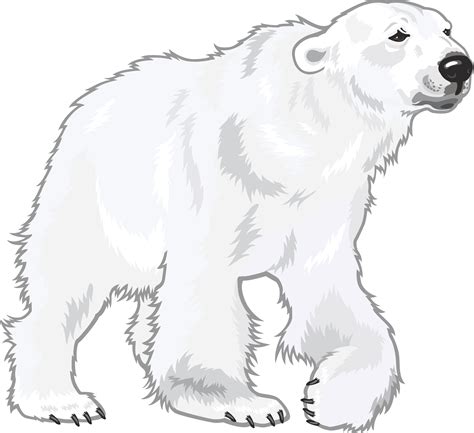 Top 97 Background Images Polar Bear Printable Pictures Updated