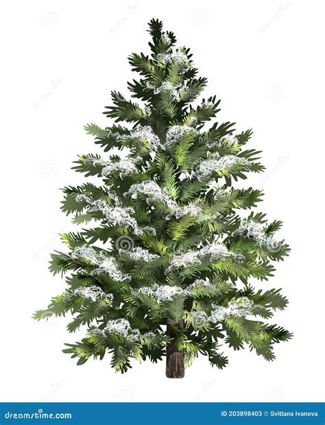 Green Spruce With Snow Christmas Tree With Frost Realistic Pine Tree