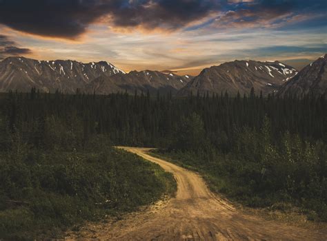 Wallpaper Sunlight Trees Landscape Forest White Mountains