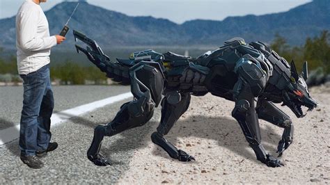 10 Amazing Robotic Animals You Must See Youtube