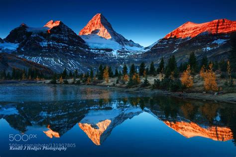 Sunrise Mt Assiniboine Reflected In A Tarn With Golden Larch Fro Tarn