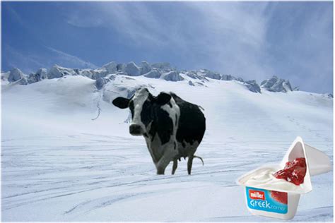 This summers tv advert for müller light tells us that they consider their new thicker recipe to be their. Advertising Campaign Strategy Portfolio: Print adverts for ...