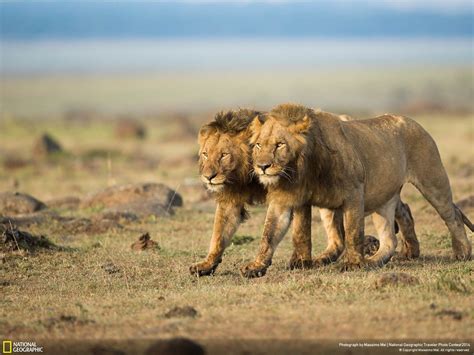 30 Stunning Photos From National Geographics Traveler Photo Contest