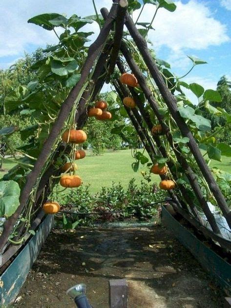 47 Beautiful Fruit And Vegetable Garden Ideas 7 Backyard Vegetable