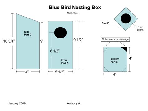 How To Build A Bluebird House Nest Box Plans Feltmagnet