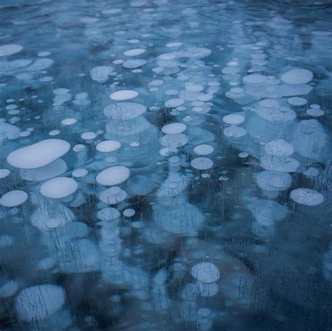 Frozen Bubbles As Far As You Can See The Ice At Abraham Lake Is So