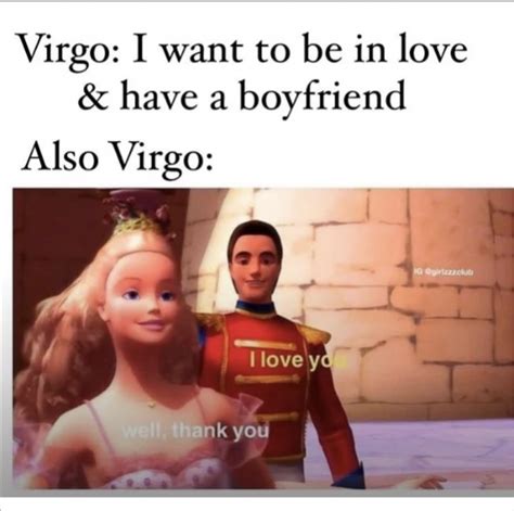 28 Funny And Relatable Virgo Memes So Syncd