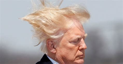 Donald Trump What Are The Secrets Of Her Weird Hair Celebrity
