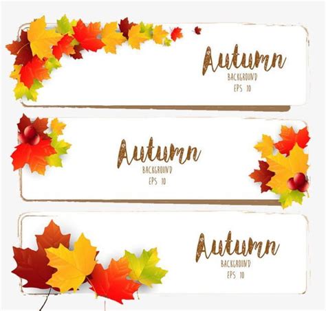 Autumn Decoration PNG - art, autumn, autumn art words, autumn clipart, autumn decoration | Fall ...