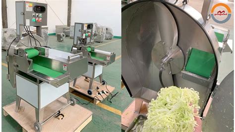 Automatic Leaf Vegetable Cutting Slicing Machine Cabbage Lettuce
