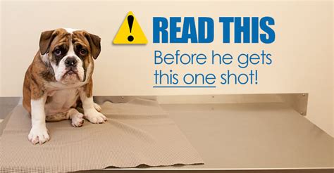 Ogbuagu says there is evidence that animals including dogs and cats can carry. Know The Risks!