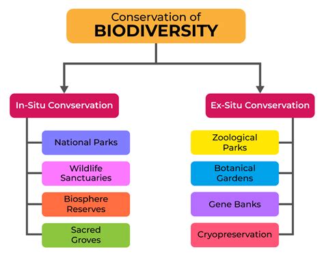 What Is Biodiversity Why Is Biodiversity Important For Human Lives