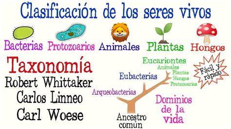 5 Reinos y 3 Dominios de la Vida Clasificación de los seres vivos