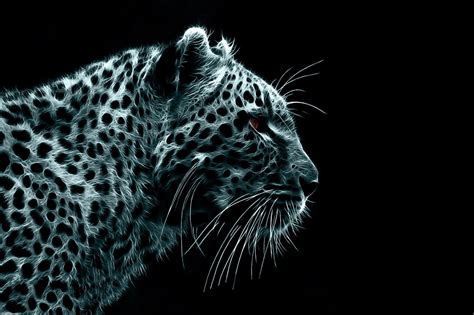 Neon animals wallpapers 1.0 is latest version of neon animals wallpapers app updated by cloudapks.com on october 07, 2020. Cool Backgrounds Neon Animals / Neon Animals Wallpapers - Top Free Neon Animals ... / Find and ...