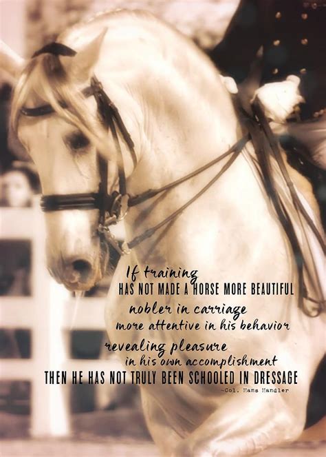 Quotes that contain the word dressage. Dressage Perfection Quote Photograph by JAMART Photography