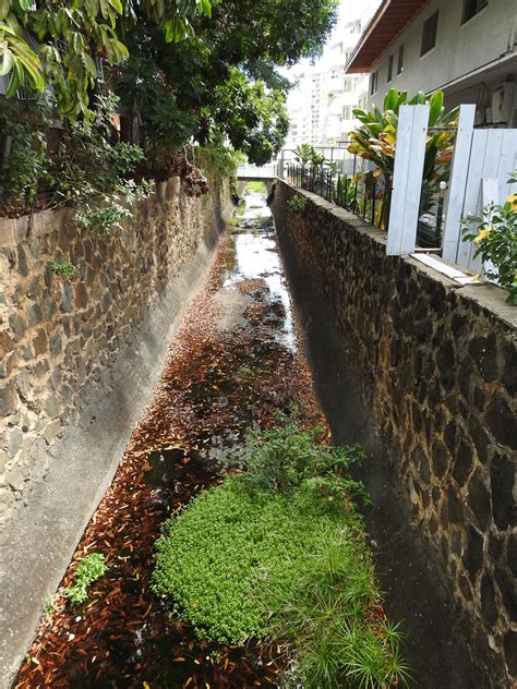 Makiki Ditch Downstream From Liholiho St Makiki Ditch Dow Flickr