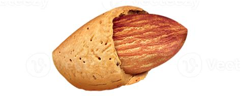 Single Of Almond Nut 12596337 Png