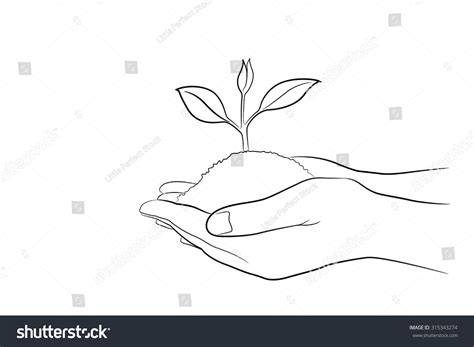 Two Hand Holding Young Plant Drawing стоковая векторная графика без