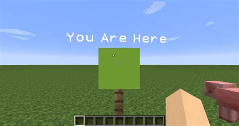 Why thank you, non-descriptive floating text! : Minecraft