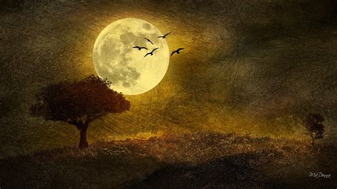 Autumn Moon Wallpapers Top Free Autumn Moon Backgrounds Wallpaperaccess