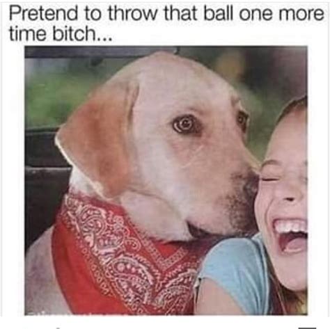 Pretend To Throw That Ball One More Time Bitch Funny