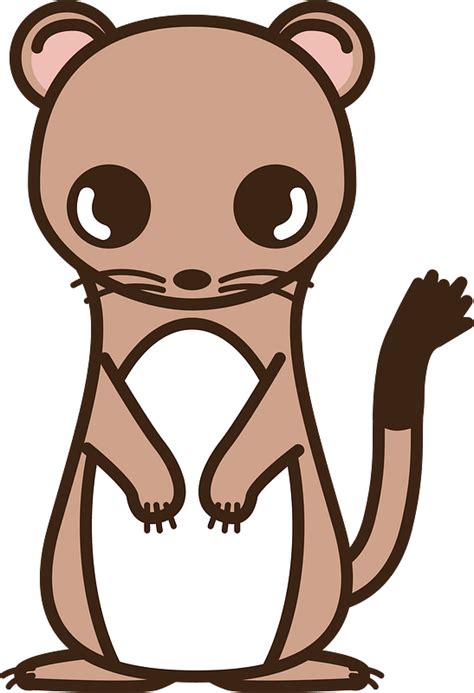 Long Tailed Weasel Clipart Free Download Transparent Png Creazilla