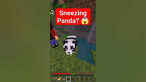 Sneezing Panda Secret 🤧 Minecraft Trails And Tales Event Secrets