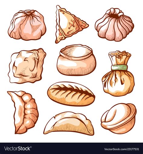 Dumpling Traditional Chinese Food Hand Drawn Set Vector Image