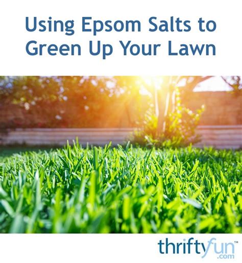 Using Epsom Salts To Green Up Your Lawn Thriftyfun