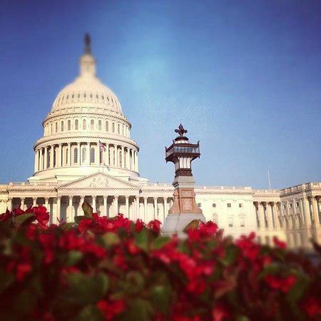 Take in the beautiful architecture and the history of our nation's capitol!liked what you saw? Washington DC 2019: Best of Washington DC, DC Tourism ...