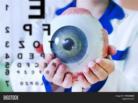 Ophthalmology Oculus Image And Photo Free Trial Bigstock