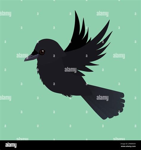 Crow Cut Out Stock Vector Images Alamy