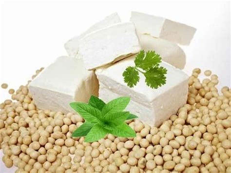 Soya Paneer In Ahmedabad सोया पनीर अहमदाबाद Gujarat Get Latest Price From Suppliers Of Soya
