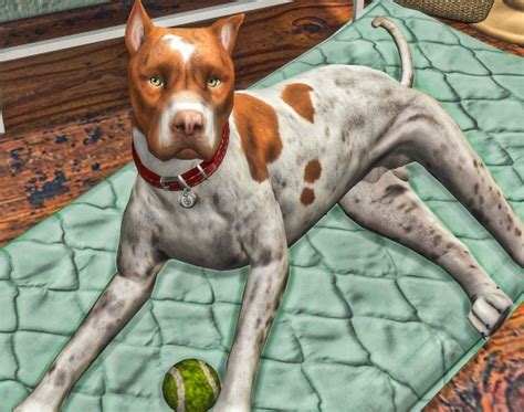 Sims 4 Pitbull Explore Tumblr Posts And Blogs Tumgik