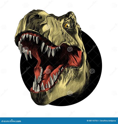 Dinosaur Head Tyrannosaurus Cartoon Vector 88110961